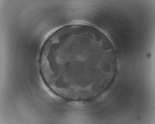 X0000113080995200910091227