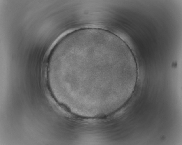 X0000113081000200910091227