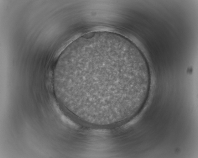 X0000113081001200910091227