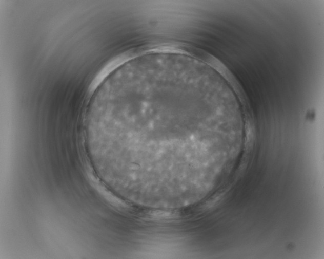 X0000113081002200910091227