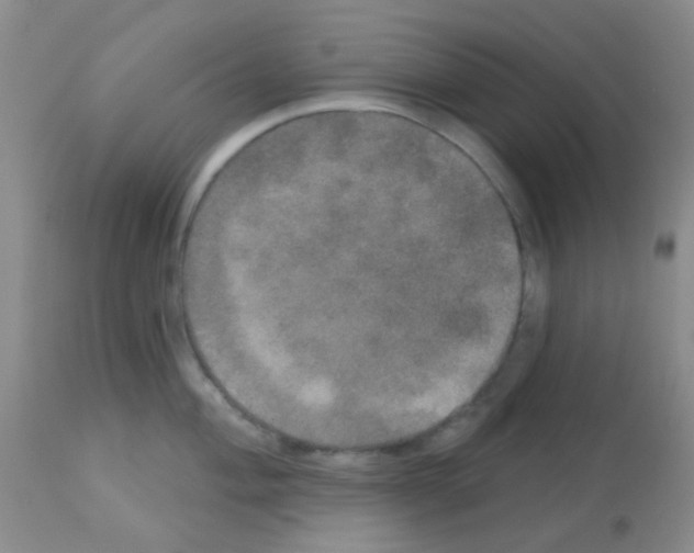 X0000113081004200910091227