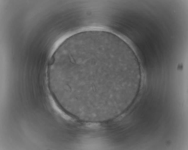 X0000113081006200910091227