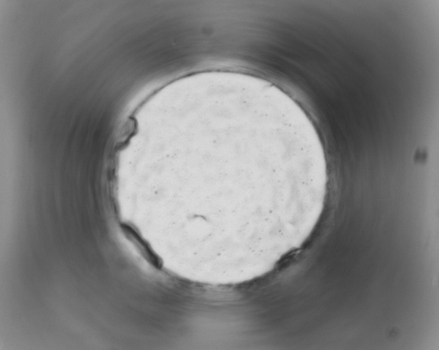 X0000113081007200910091227