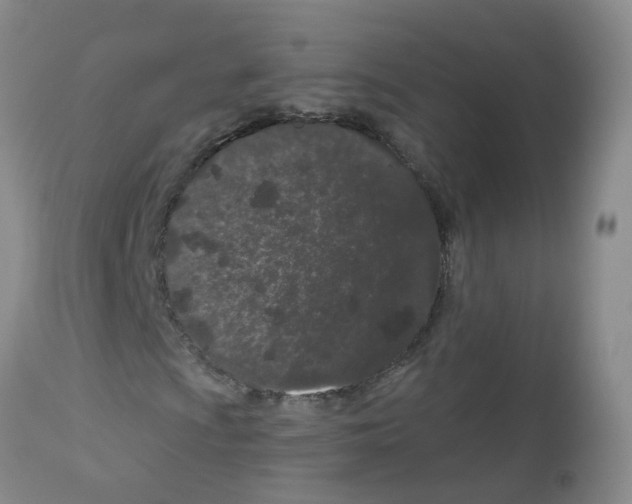 X0000113081009200910091226