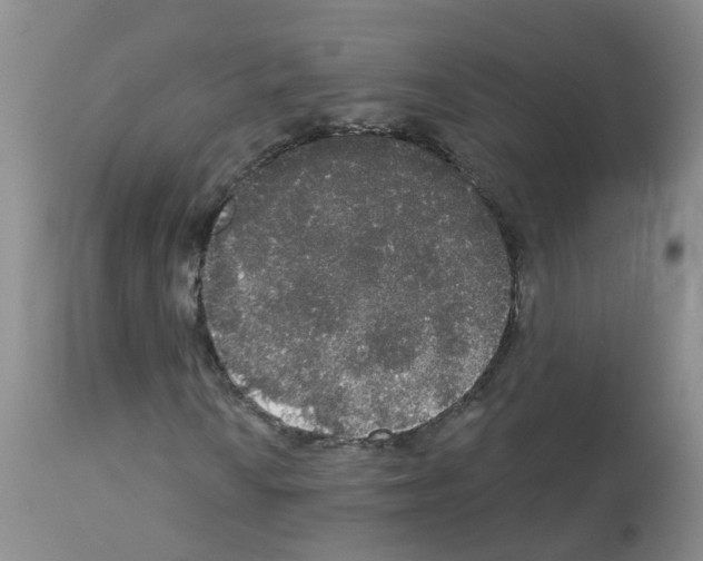 X0000113081010200910091226