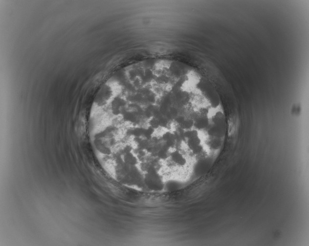 X0000113081011200910091226