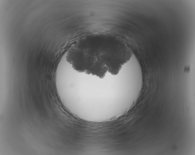 X0000113081012200910091226