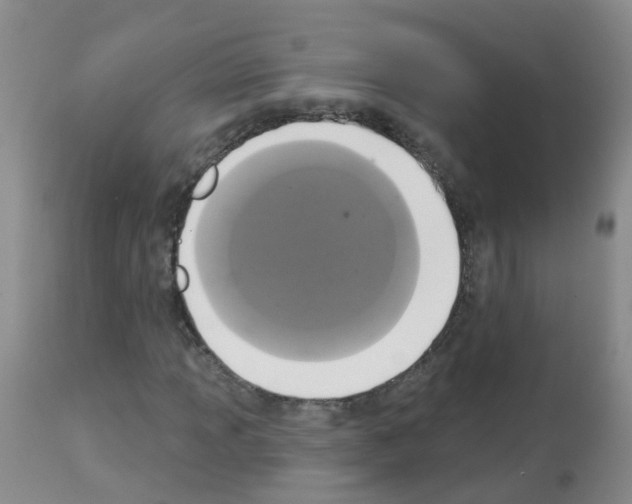 X0000113081013200910091226