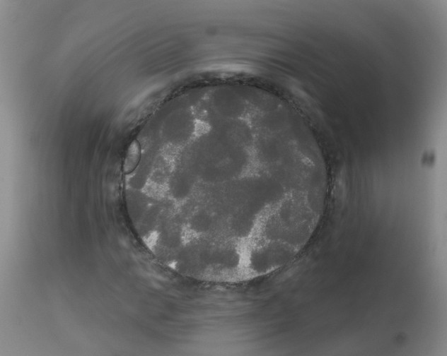 X0000113081014200910091226