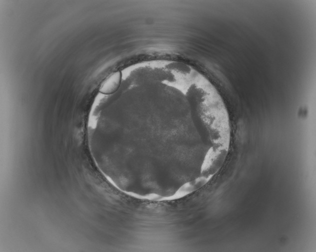 X0000113081015200910091226
