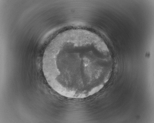 X0000113081016200910091226