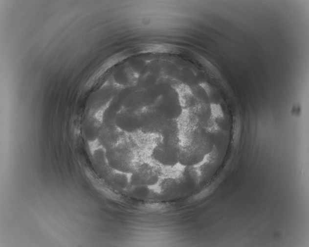 X0000113081017200910091226