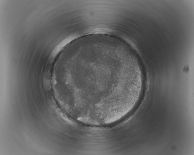 X0000113081018200910091226