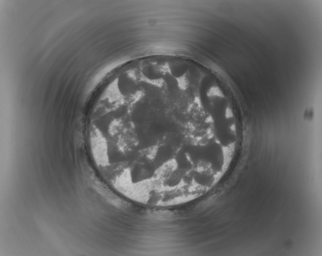X0000113081019200910091226