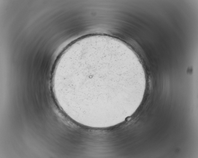 X0000113081020200910091227