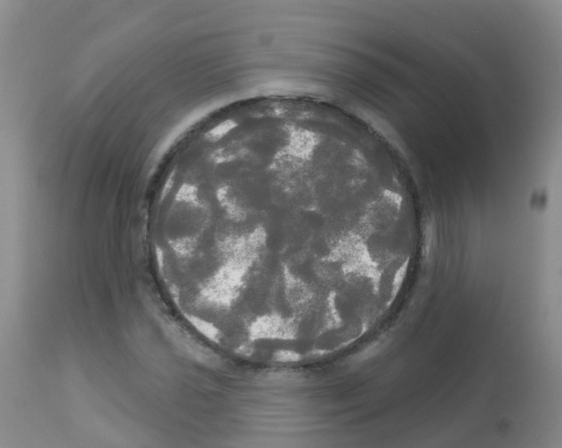 X0000113081021200910091227