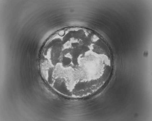 X0000113081022200910091227