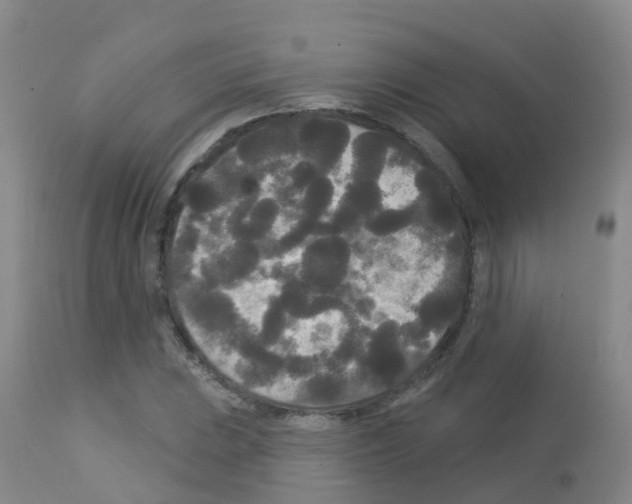 X0000113081023200910091227