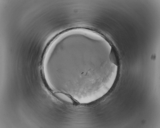 X0000113081024200910091227