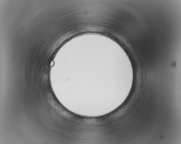 X0000113081025200910091227