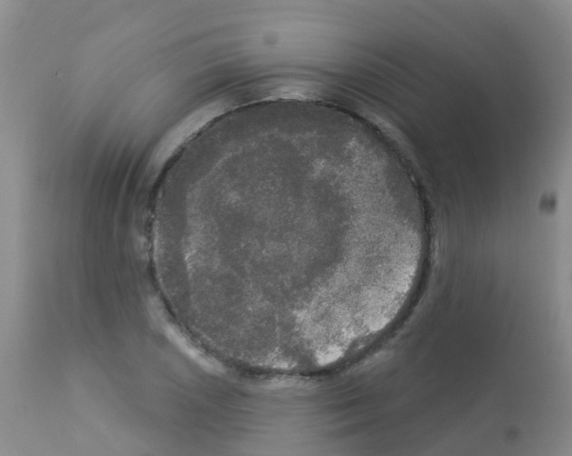X0000113081026200910091227