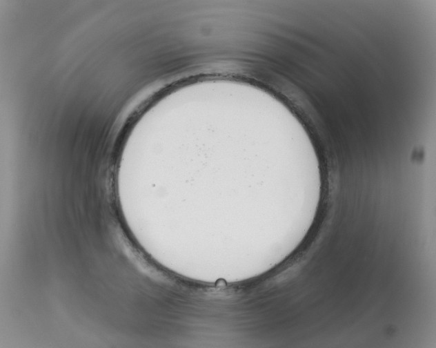 X0000113081029200910091227