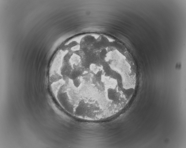 X0000113081030200910091227