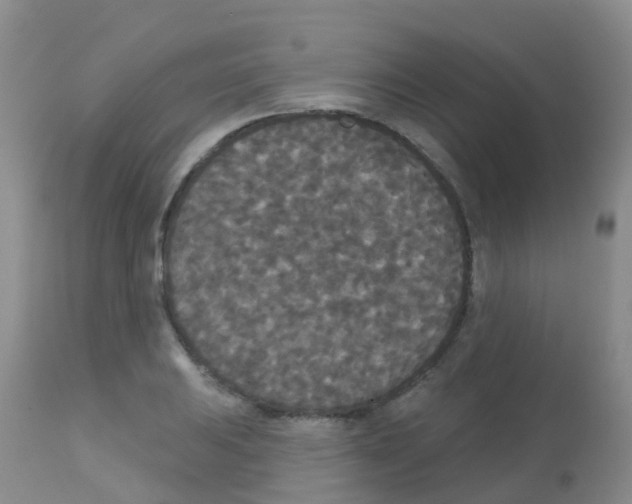 X0000113081031200910091227