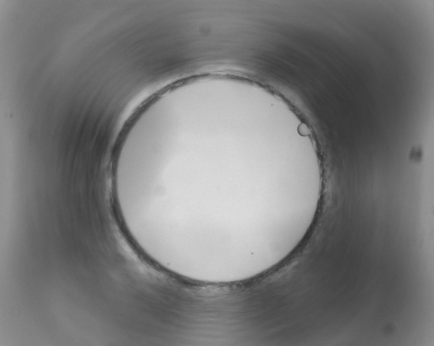 X0000113081032200910091227