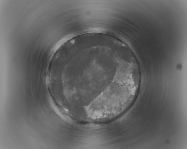 X0000113081034200910091227