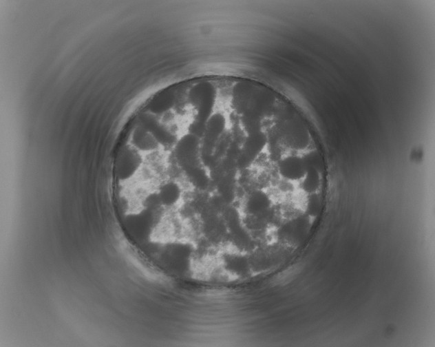 X0000113081035200910091227