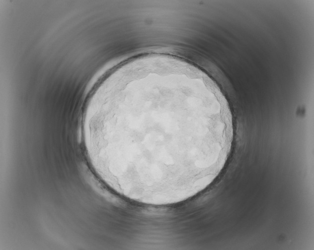 X0000113081036200910091227