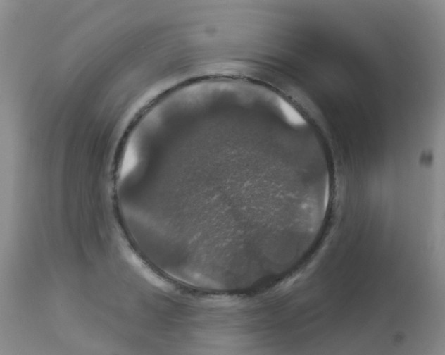 X0000113081037200910091227