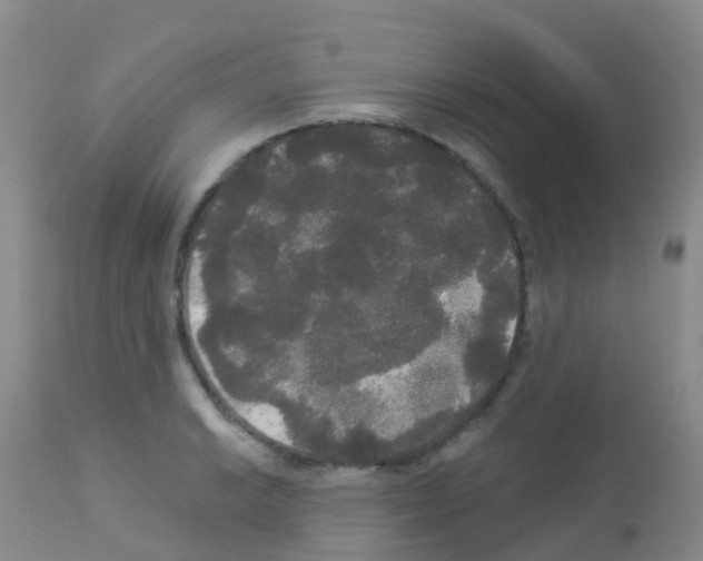 X0000113081038200910091227