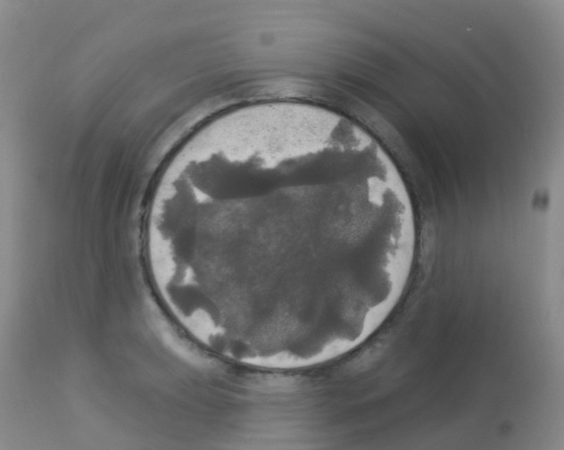 X0000113081039200910091227