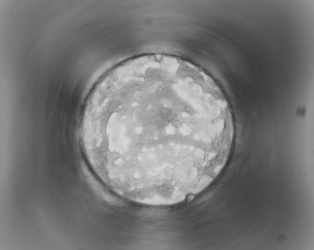 X0000113081040200910091227