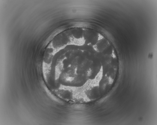 X0000113081041200910091227