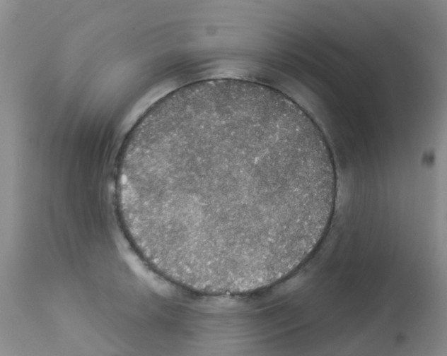 X0000113081042200910091227