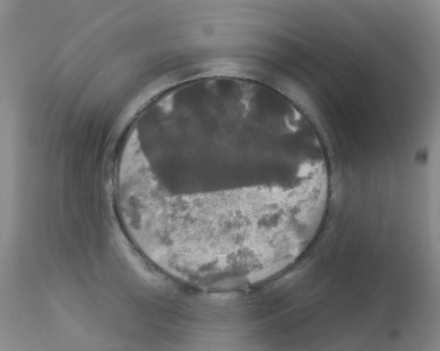 X0000113081043200910091227