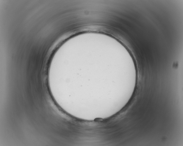 X0000113081045200910091227