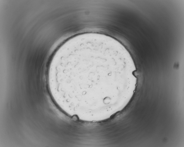 X0000113081046200910091227