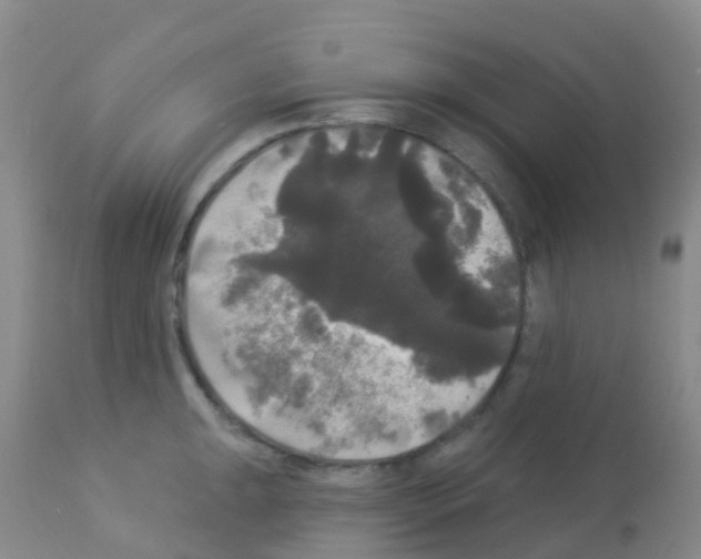X0000113081047200910091227