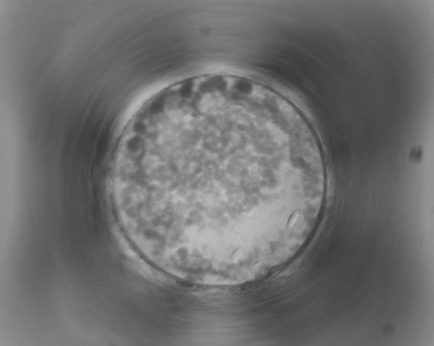 X0000113081048200910091227