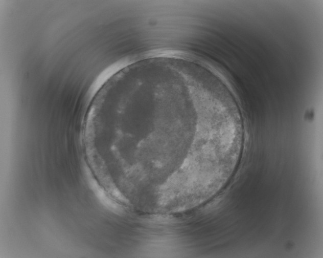X0000113081050200910091227
