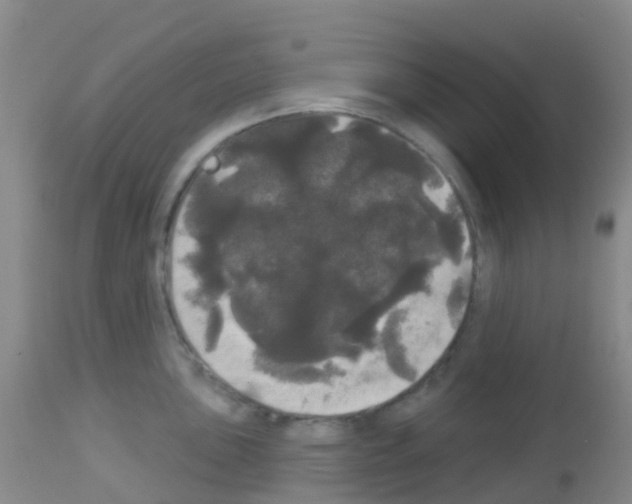 X0000113081051200910091227
