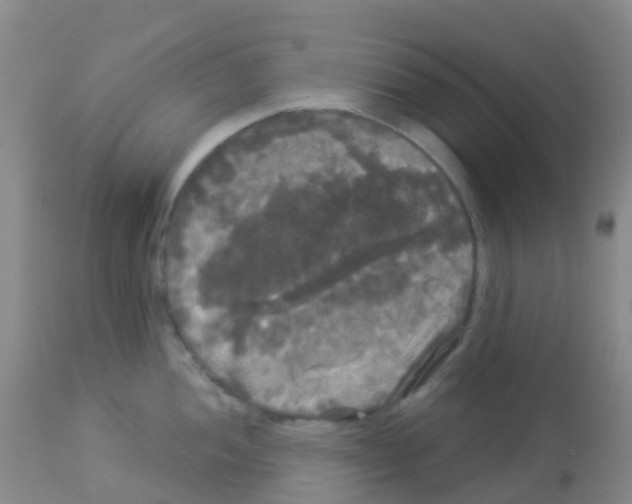 X0000113081052200910091227