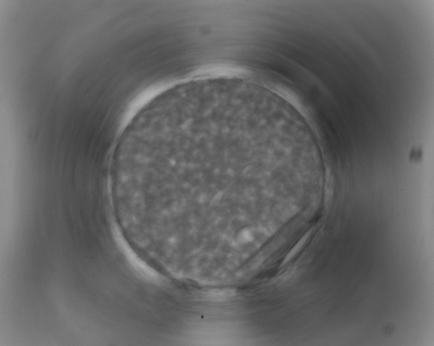 X0000113081055200910091227