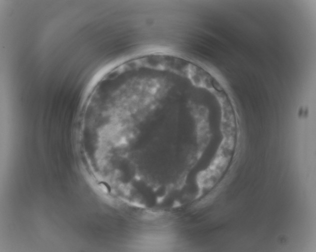 X0000113081056200910091227