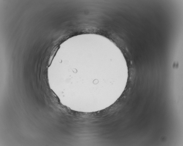 X0000113081057200910091226