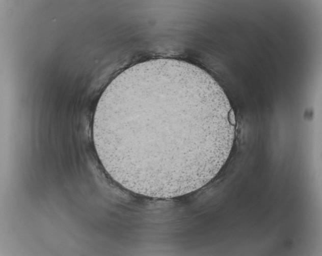 X0000113081058200910091226